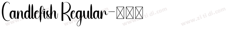 Candlefish Regular字体转换
